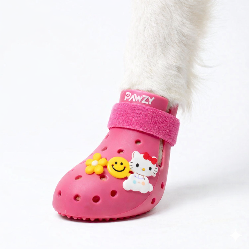 Pawzy Shoes 🐾
