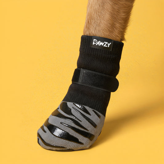 Pawzy Socks 🐾