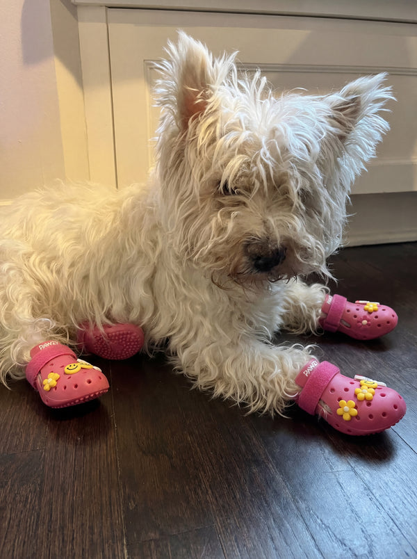 Made for Every Adventure